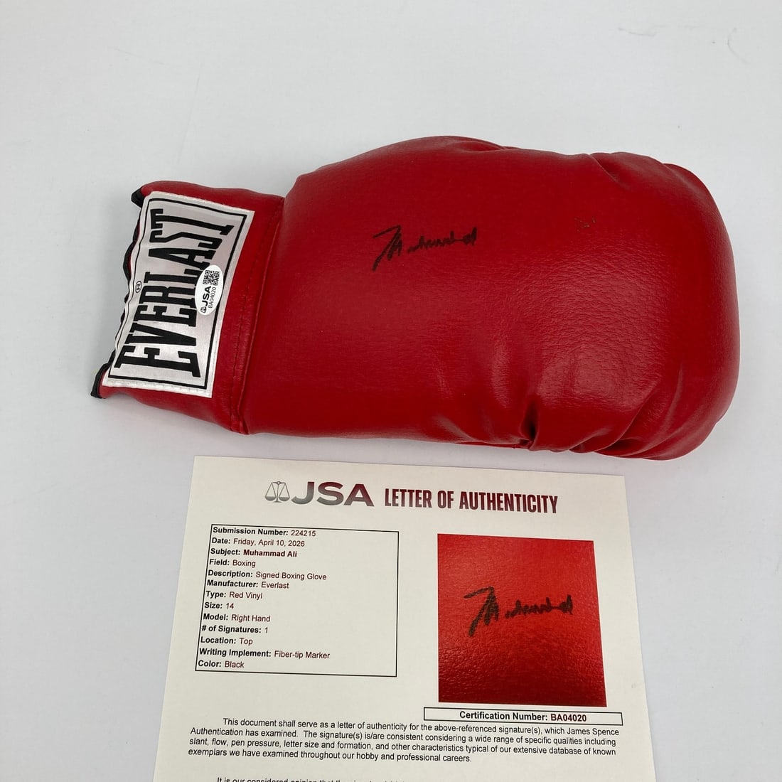 Everlast Boxing Glove Signed by Muhammad Ali JSA COA: Everlast Boxing Glove Signed by Muhammad Ali JSA COA This Everlast boxing glove is hand-signed by Muhammad Ali and includes a Certificate of Authenticity from James Spence Authentication (JSA). It is 