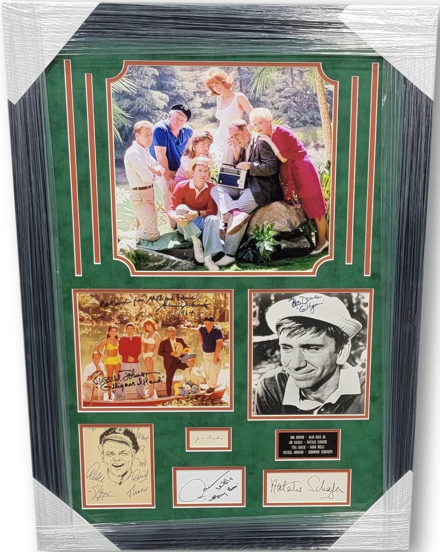 Gilligan's Island Cast Signed Photograph With Bob Denver and Dawn Wells JSA Authenticated: Gilligan's Island Cast Signed Photograph With Bob Denver and Dawn Wells JSA Authenticated This framed Gilligan's Island cast photograph features authentic signatures from eight key members of the show