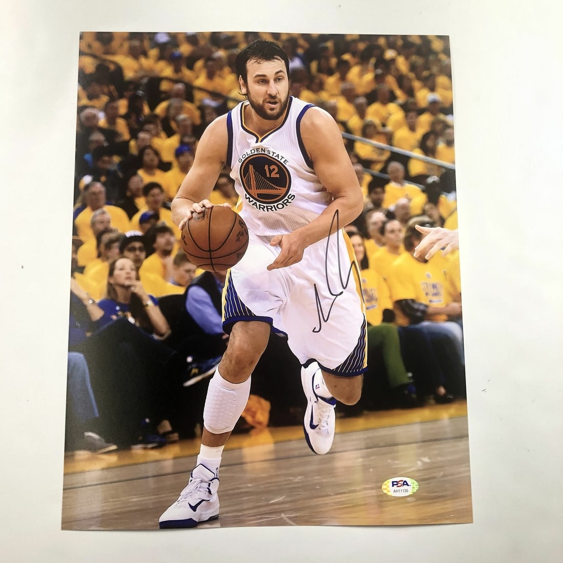 Andrew Bogut Autographed 11x14 Golden State Warriors Photo PSA/DNA Authenticated: Andrew Bogut Autographed 11x14 Golden State Warriors Photo PSA/DNA Authenticated This is a professionally printed 11x14 photograph signed by Andrew Bogut, a prominent player for the Golden State Warri