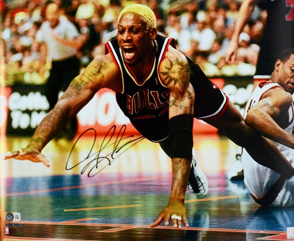 Dennis Rodman signed Bulls 16x20 diving photo Beckett hologram (1 of 10)