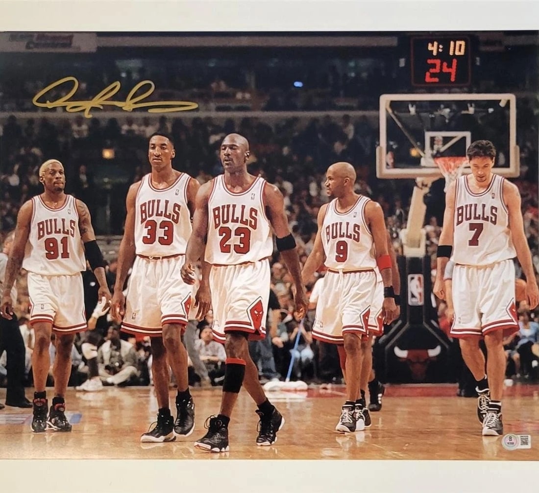 Dennis Rodman Signed 16x20 Photo Last Dance Chicago Bulls BAS (1 of 3)