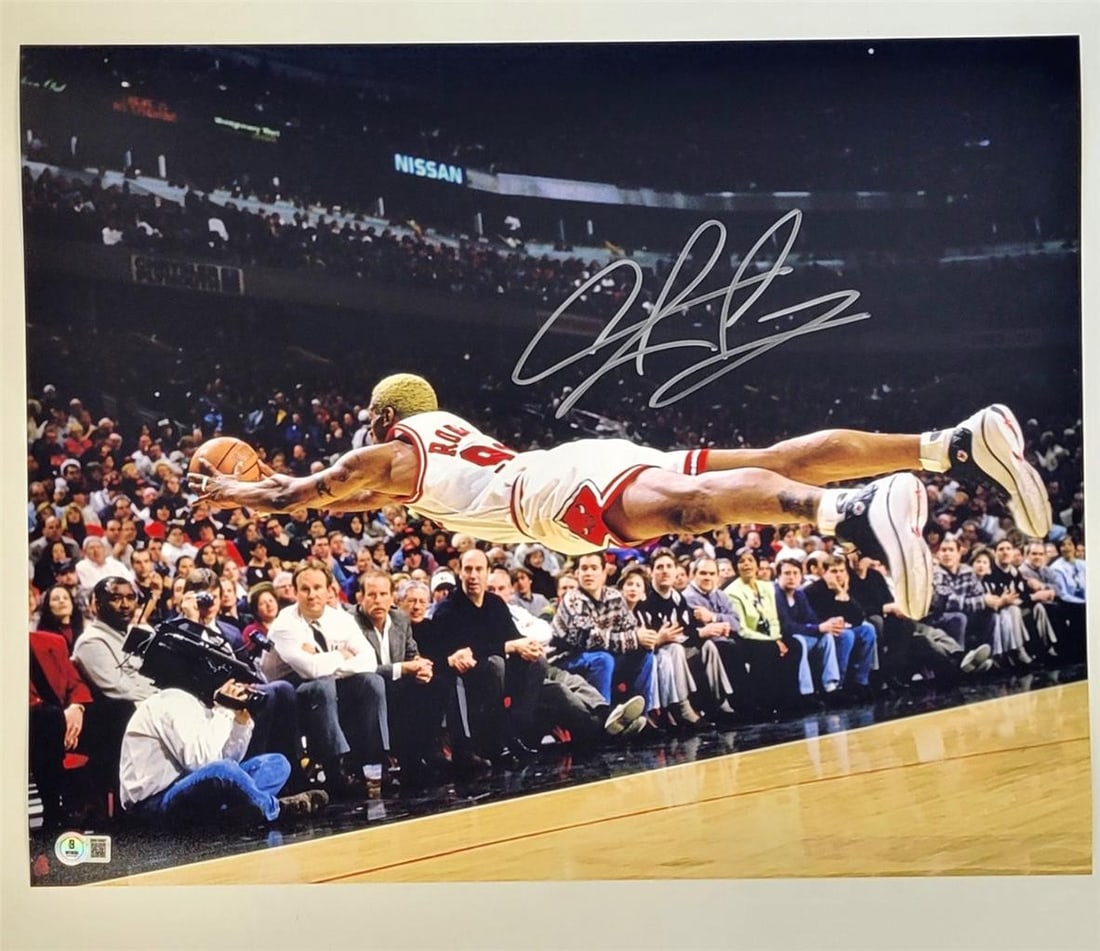 Dennis Rodman Signed Chicago Bulls 16x20 Photo Beckett Authenticated: Dennis Rodman Signed Chicago Bulls 16x20 Photo Beckett Authenticated Capture a moment in basketball history with this original 16x20 photo of Dennis Rodman diving for the ball, signed by the Hall of F
