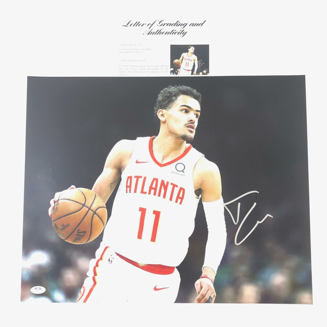16x20 Atlanta Hawks Trae Young Autographed Photo PSA DNA LOA Auto Grade 10 (1 of 4)