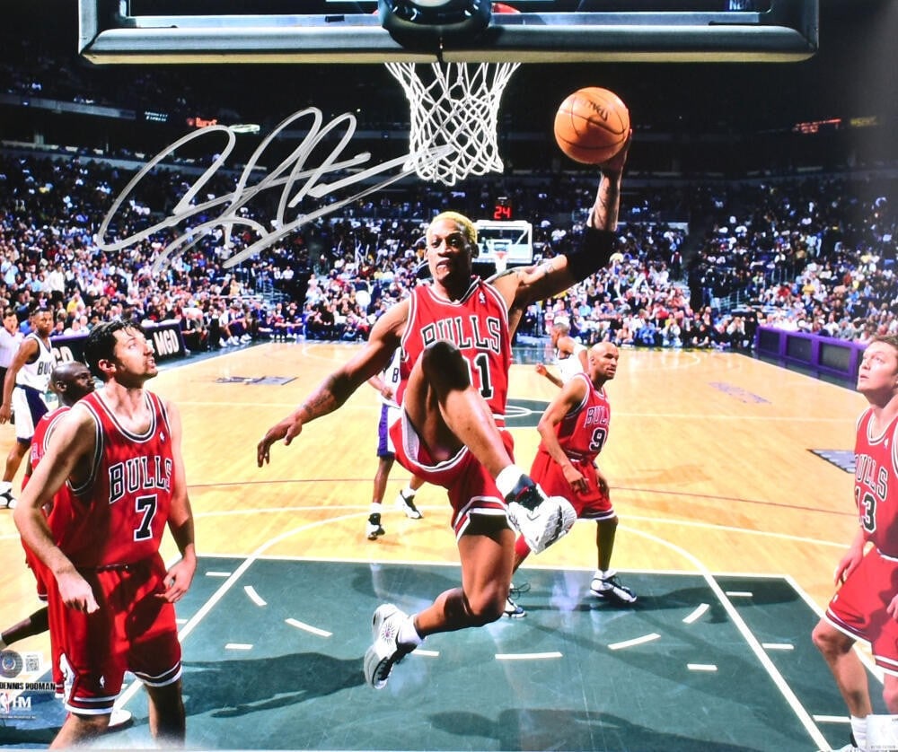 Dennis Rodman signed Chicago Bulls 16x20 rebound photo Beckett hologram silver (1 of 10)