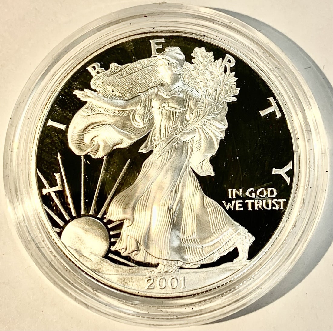 Proof 2001-W Silver American Eagle Dollar in Box Without COA: Proof 2001-W Silver American Eagle Dollar in Box Without COA This 2001-W $1 American Proof Silver Eagle is a commemorative coin struck at the West Point Mint. The coin is uncirculated and comes with i