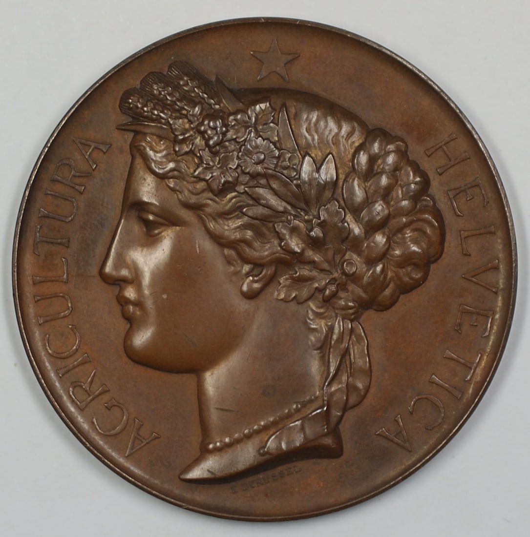 1887 Swiss Bronze Neuchatel Agricultural Medal with Box (1 of 3)