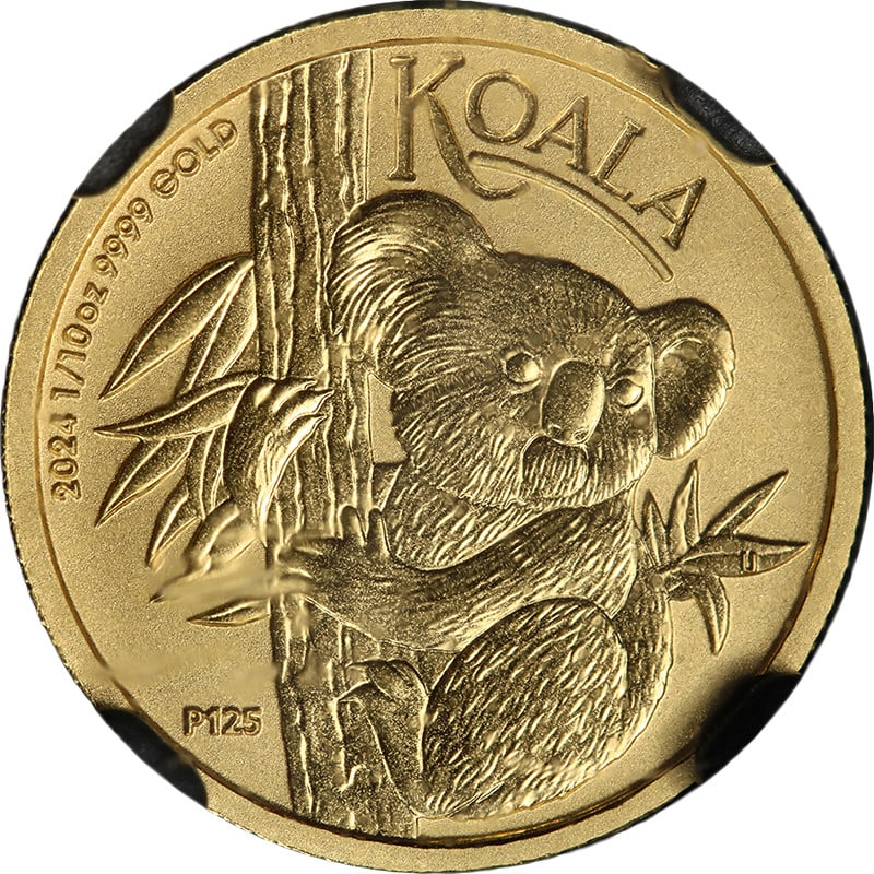 2024 Australia Koala 1/10oz Gold $15 NGCX MS10 (1 of 4)