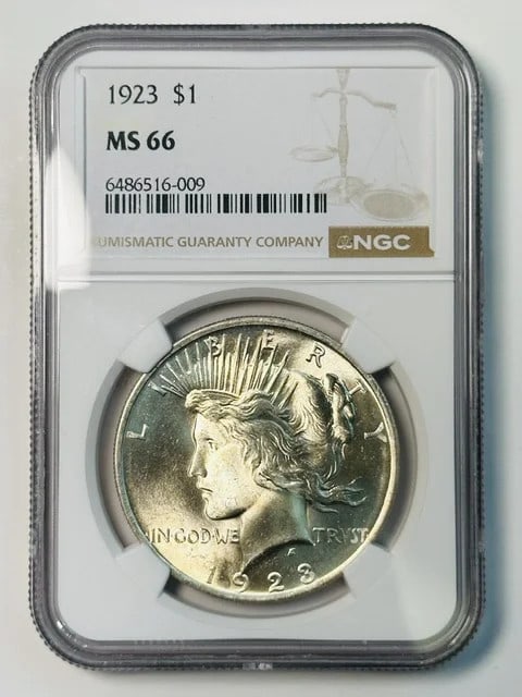 NGC MS 66 1923 Peace Silver Dollar: NGC MS 66 1923 Peace Silver Dollar This 1923 Peace Dollar is certified by NGC and graded MS 66. Struck in silver, it represents a classic piece of U.S. numismatic history from the early 20th century. 