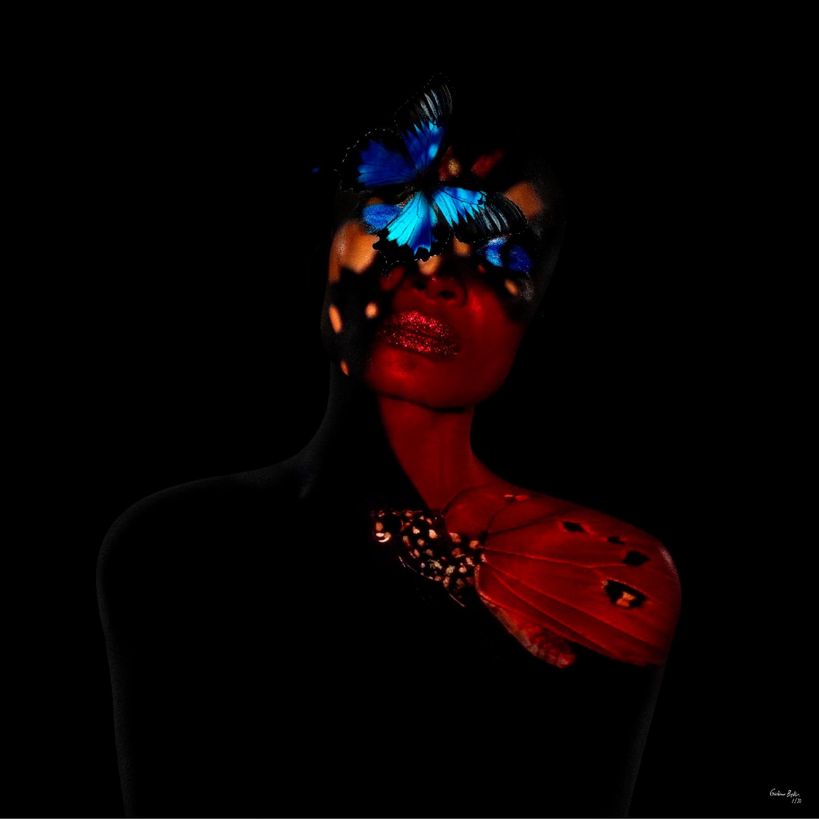 Giuliano Bekor Butterfly 5 Photography 24x24 Edition 1/24 Abstract Expressionist (1 of 6)