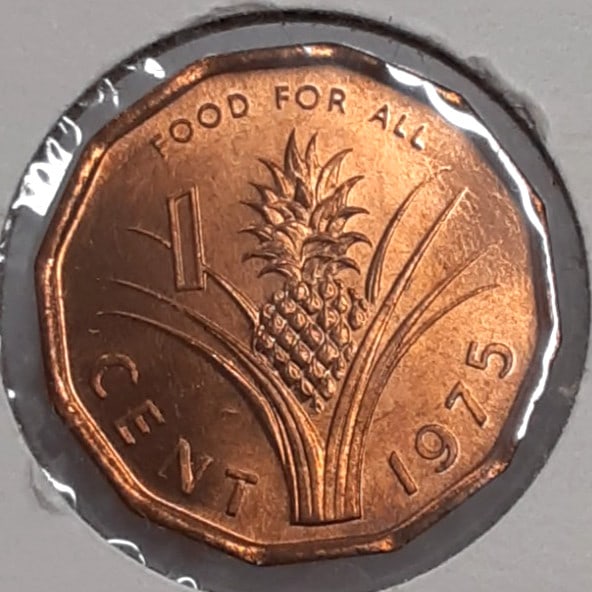 Roll of 50 Uncirculated 1975 Swaziland 1 Cent Bronze FAO Coins KM21: Roll of 50 Uncirculated 1975 Swaziland 1 Cent Bronze FAO Coins KM21 This is a roll of fifty un-used 1975 Swaziland 1 Cent bronze FAO coins, KM#21. Each coin remains uncirculated and comes in its origi
