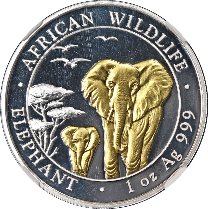NGC MS70 Gilt Elephant 2015 Somalia 100 Shilling Silver Early Releases: NGC MS70 Gilt Elephant 2015 Somalia 100 Shilling Silver Early Releases This is a 2015 Somalia Silver 100 Shilling Gilt Elephant coin, certified by NGC with an MS70 grade, indicating a perfect un-used 