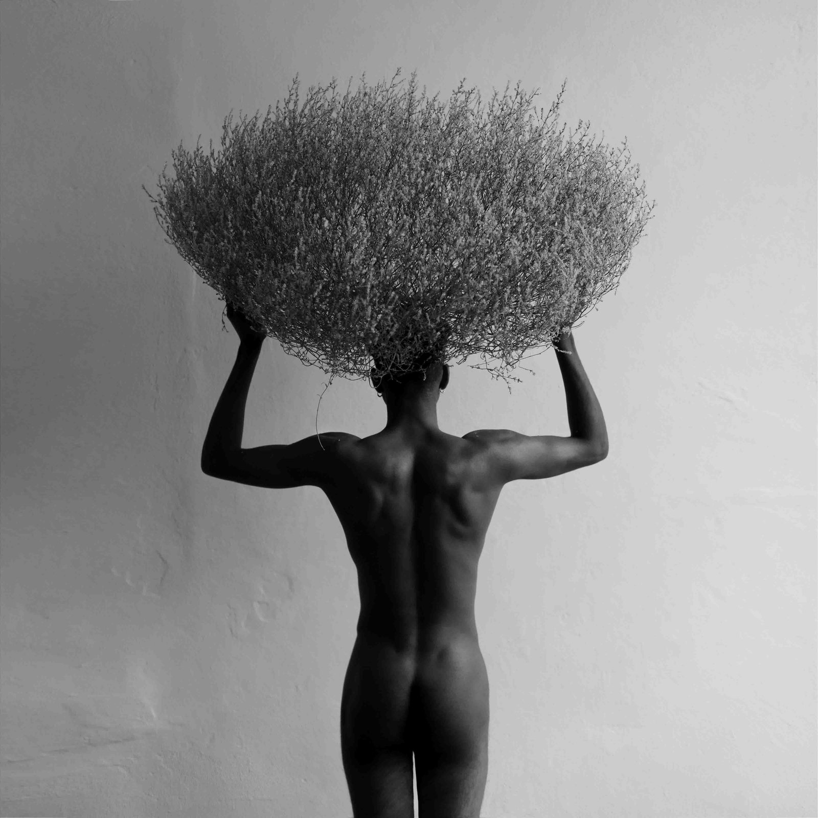 Olha Stepanian Adam Black White Photography 39 x 39 Edition of 3: Olha Stepanian Adam Black White Photography 39 x 39 Edition of 3 "Adam" is a stunning black and white photographic work by Olha Stepanian, measuring 39" x 39". Created in 2020, this piece is part of a