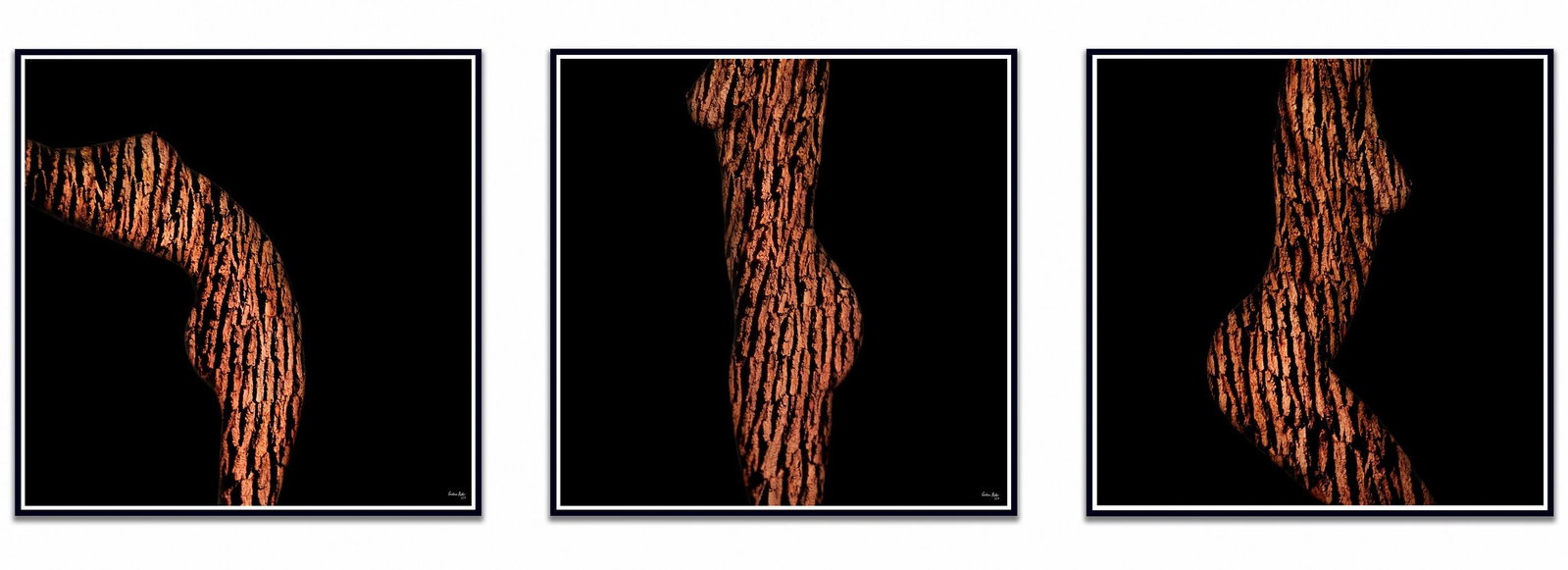 Giuliano Bekor ARW11T-LMR Triptych Abstract Photography Limited Ed 1/4 (1 of 6)