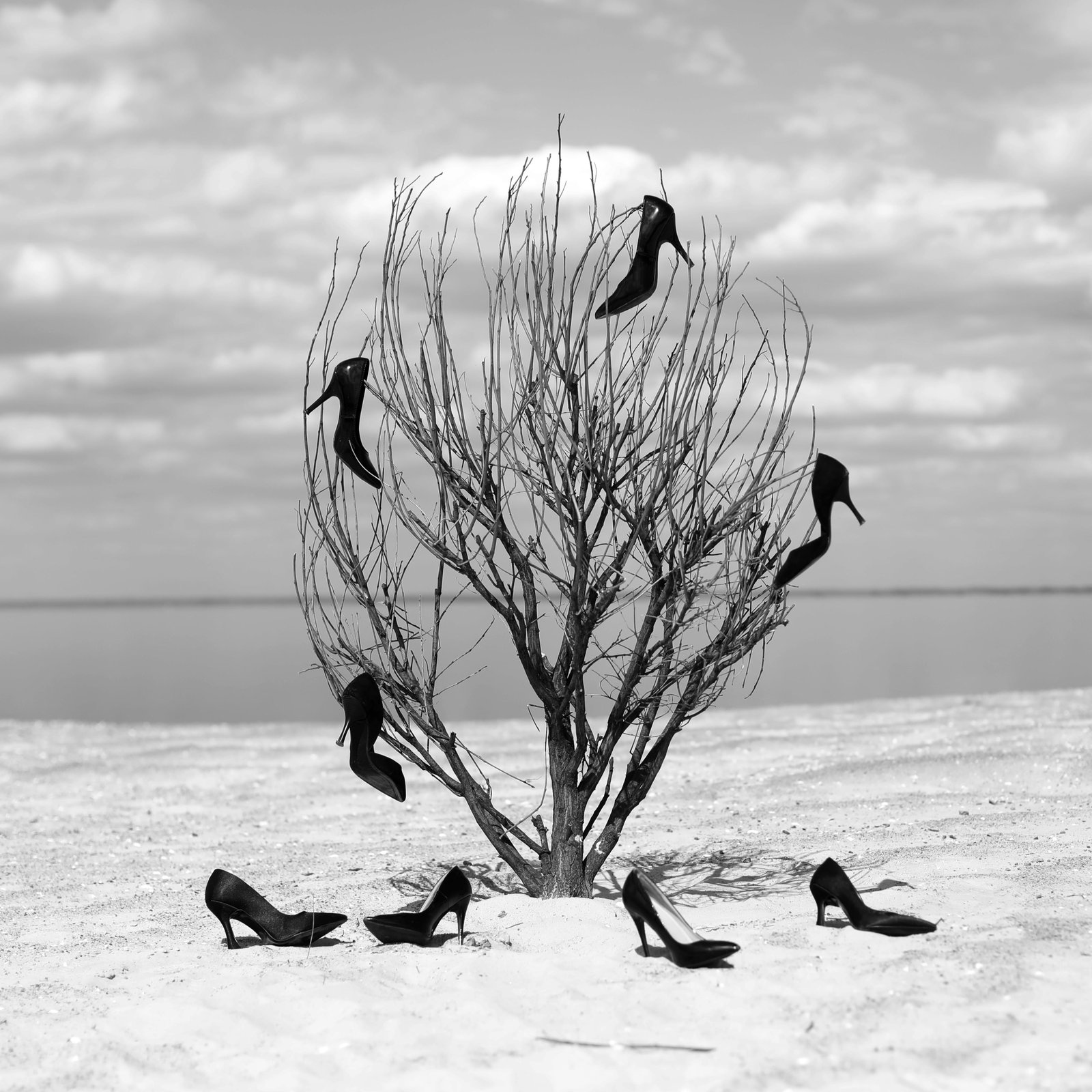 Olha Stepanian Spring black and white photograph 31 x 31 edition of 7 (1 of 3)
