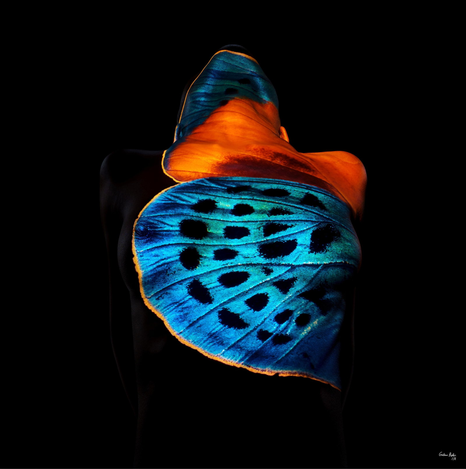 Butterfly 13 Framed Photography 40x40 Edition 1/8 by Giuliano Bekor: Butterfly 13 Framed Photography 40x40 Edition 1/8 by Giuliano Bekor Experience the captivating allure of "Butterfly 13," a stunning framed photography piece by renowned artist Giuliano Bekor. This vib