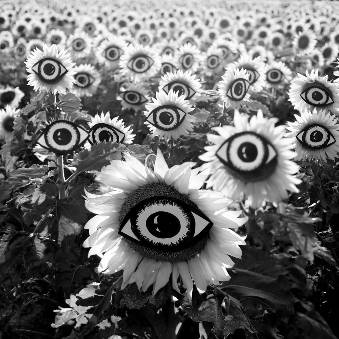 Olha Stepanian Eclipsed Visions 31 x 31 Signed Numbered Photo Print (1 of 6)