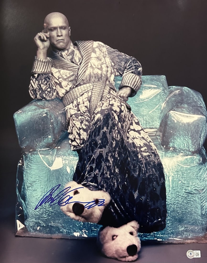 Arnold Schwarzenegger Mr Freeze Signed 16x20 Photo Beckett LOA: Arnold Schwarzenegger Mr Freeze Signed 16x20 Photo Beckett LOA This is an authentic autographed 16x20 photograph of Arnold Schwarzenegger as Mr. Freeze from the film Batman & Robin (1997). The signatu