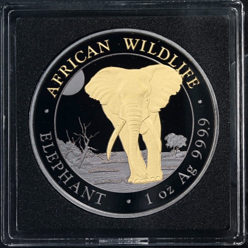 2025 Somalia 1oz Silver 100 Shillings Elephant Golden Enigma Coin: 2025 Somalia 1oz Silver 100 Shillings Elephant Golden Enigma Coin Discover the exquisite 2025 Somalia 1oz Silver 100 Shillings Elephant coin, featuring the stunning Golden Enigma design enhanced with 