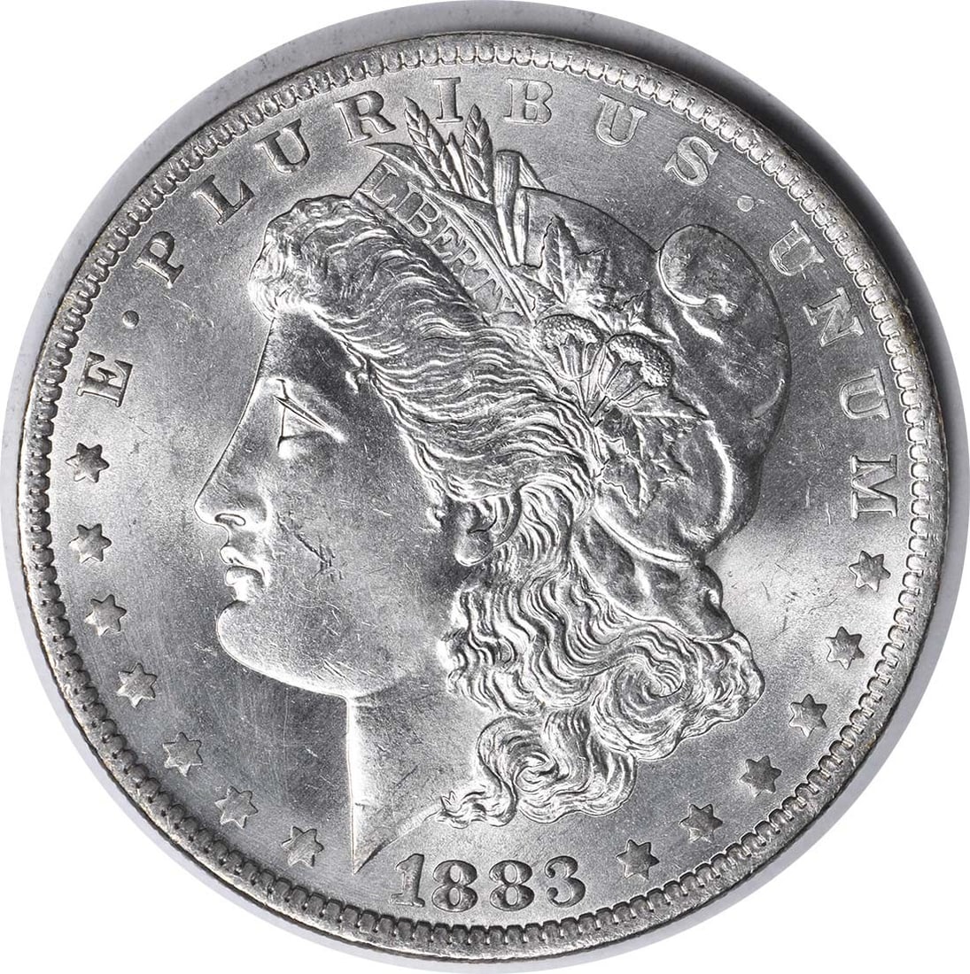 1883-O Morgan Dollar VAM 36A Partial E Reverse Choice BU Uncertified: 1883-O Morgan Dollar VAM 36A Partial E Reverse Choice BU Uncertified This is an 1883-O Morgan Silver Dollar featuring the VAM 36A variety with a Partial E Reverse. The coin is in Choice Brilliant Unci