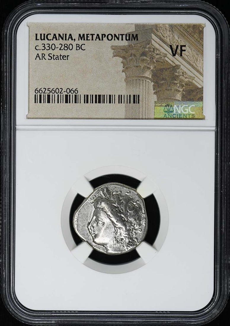 Metapontum Silver Stater Ancient Greek Coin Certified by NGC VF: Metapontum Silver Stater Ancient Greek Coin Certified by NGC VF This is an ancient AR stater coin from Lucania, Metapontum, dating approximately to 330-280 BC. The coin is certified by NGC and graded 