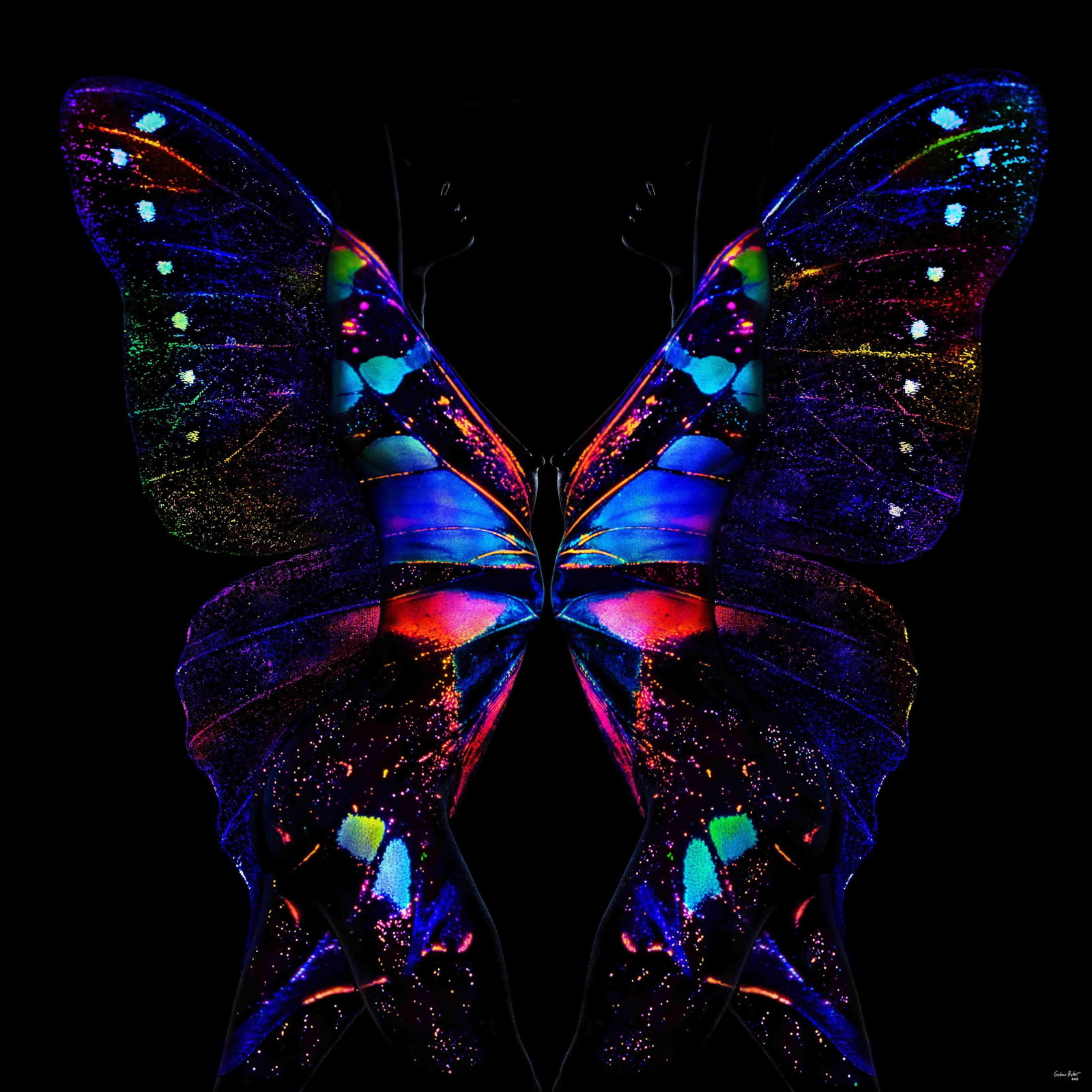 Giuliano Bekor Butterfly 24 LED Framed Artwork Ed. 2/8 40x40 Inches (1 of 18)
