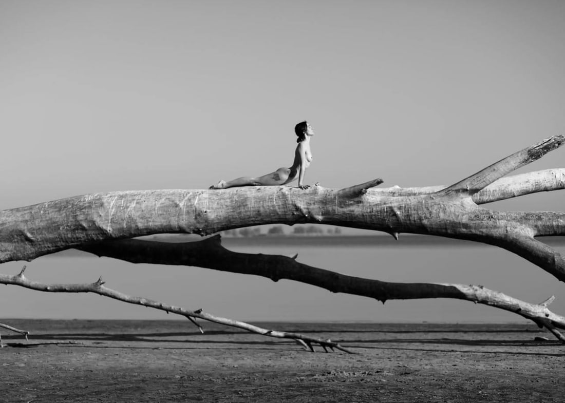 Olha Stepanian Twig 2 signed numbered photo edition 1 of 15 (1 of 1)