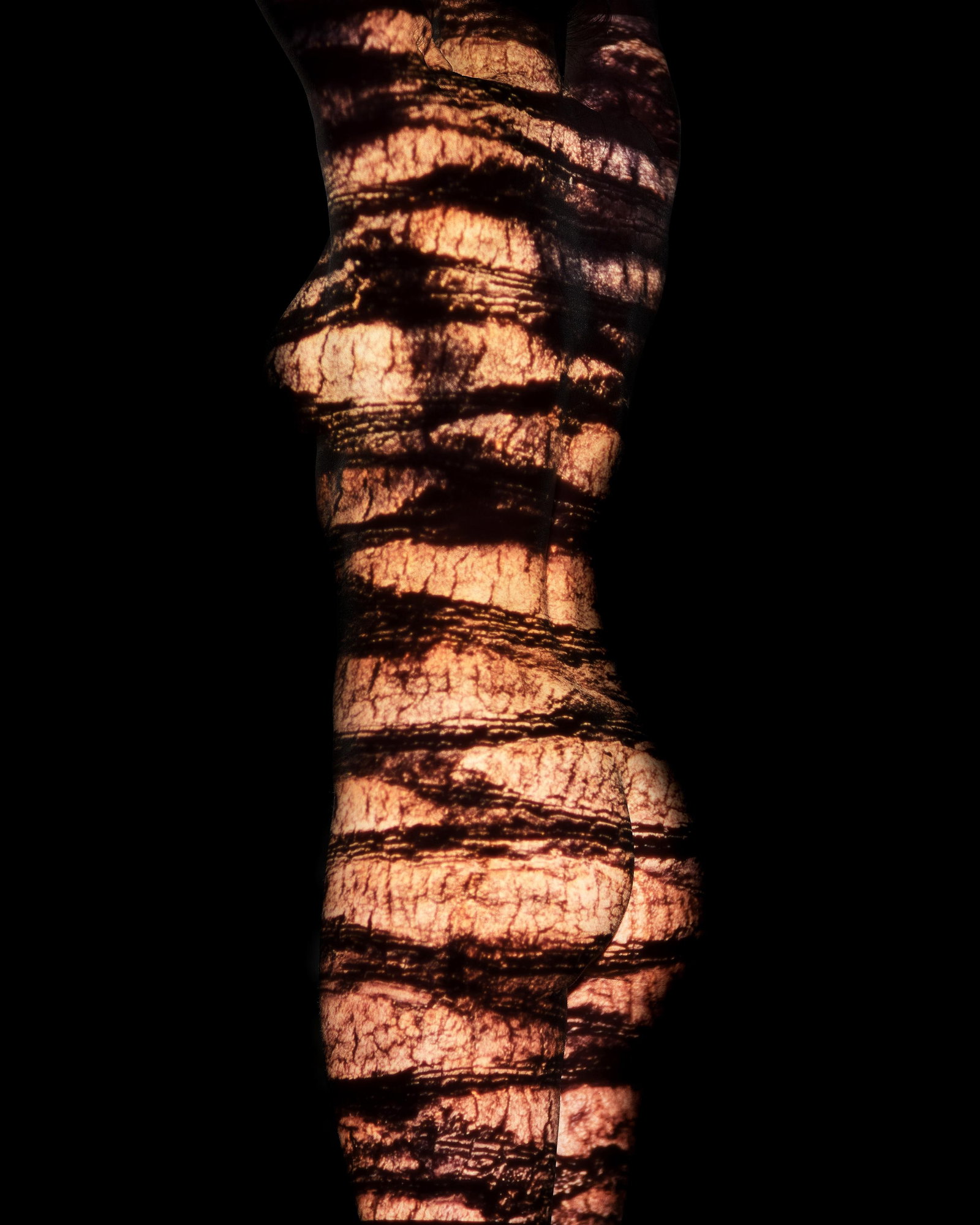 Giuliano Bekor Acacia ARW14 Abstract Photography Limited Edition 1/4 60x48: Giuliano Bekor Acacia ARW14 Abstract Photography Limited Edition 1/4 60x48 Experience the captivating beauty of "Acacia ARW14," an abstract photography piece by renowned artist Giuliano Bekor. This st