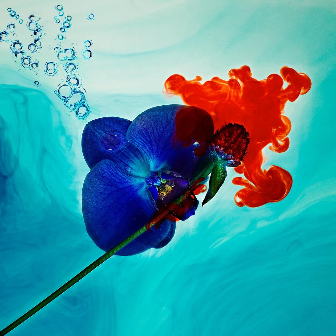 Echoes No.02 Abstract Photography by Giuliano Bekor Limited Edition 40x40 (1 of 5)