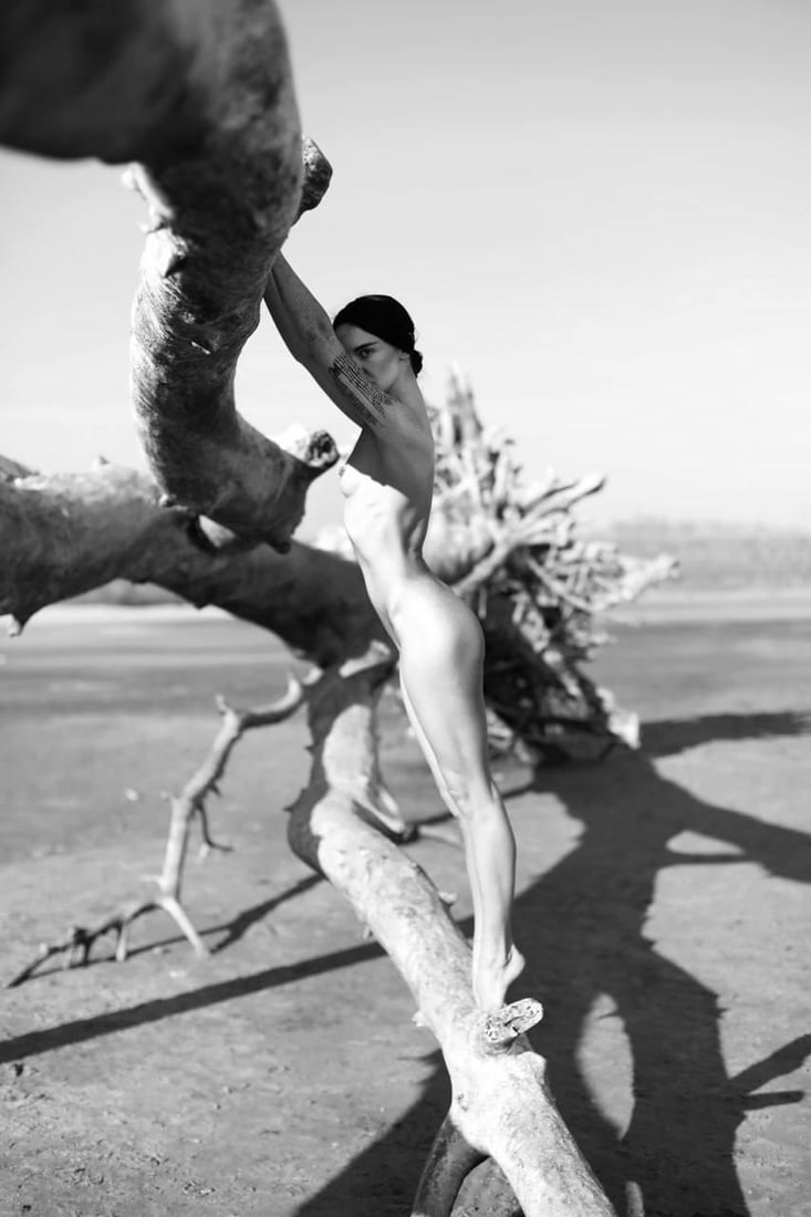 Olha Stepanian Twig 3 photograph 35 x 24 in edition 1 of 17 (1 of 2)