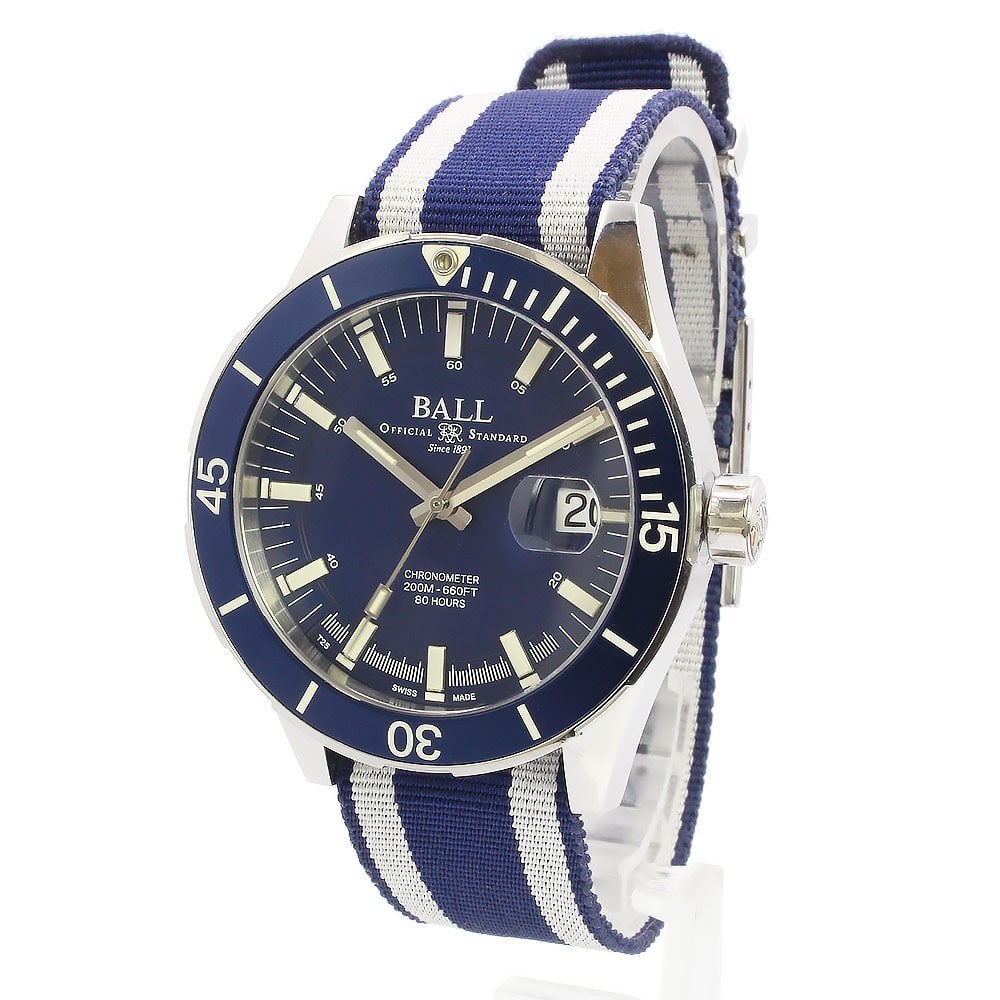 Ball Watch Roadmaster Challenger Automatic Men's Wristwatch (1 of 10)