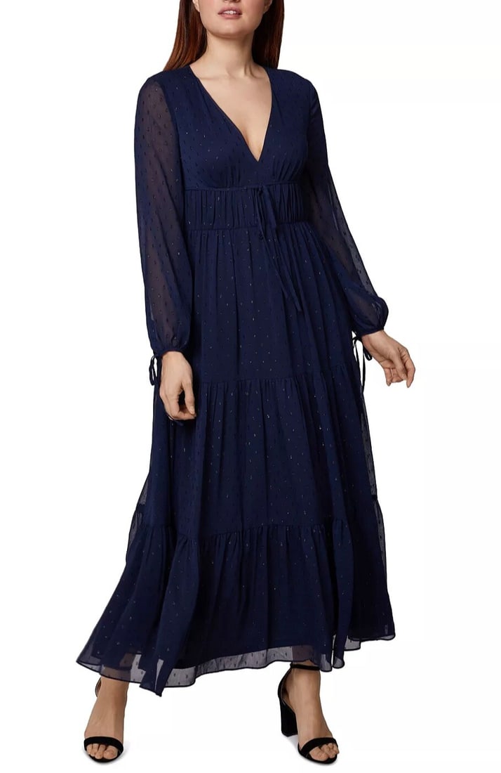 SAGE COLLECTIVE Navy Clip-Dot Maxi Dress Size 4 New With Tags (1 of 2)