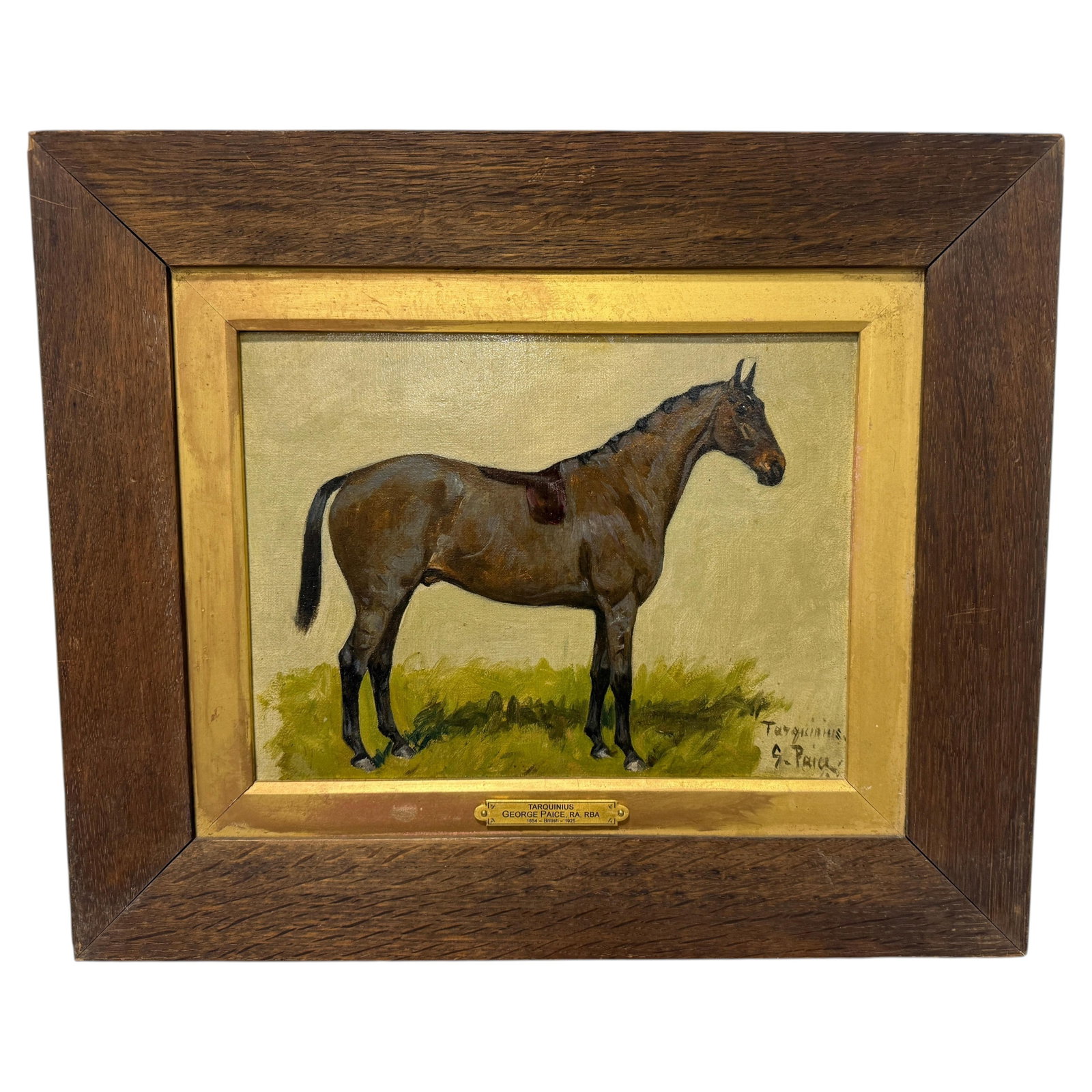 Framed horse study Tarquinius by George Thomas Paice: Framed horse study Tarquinius by George Thomas Paice This is an equestrian painting titled "Tarquinius" by George Thomas Paice, RA, RBA (British, 1854-1925). The artwork features a brown horse depicte