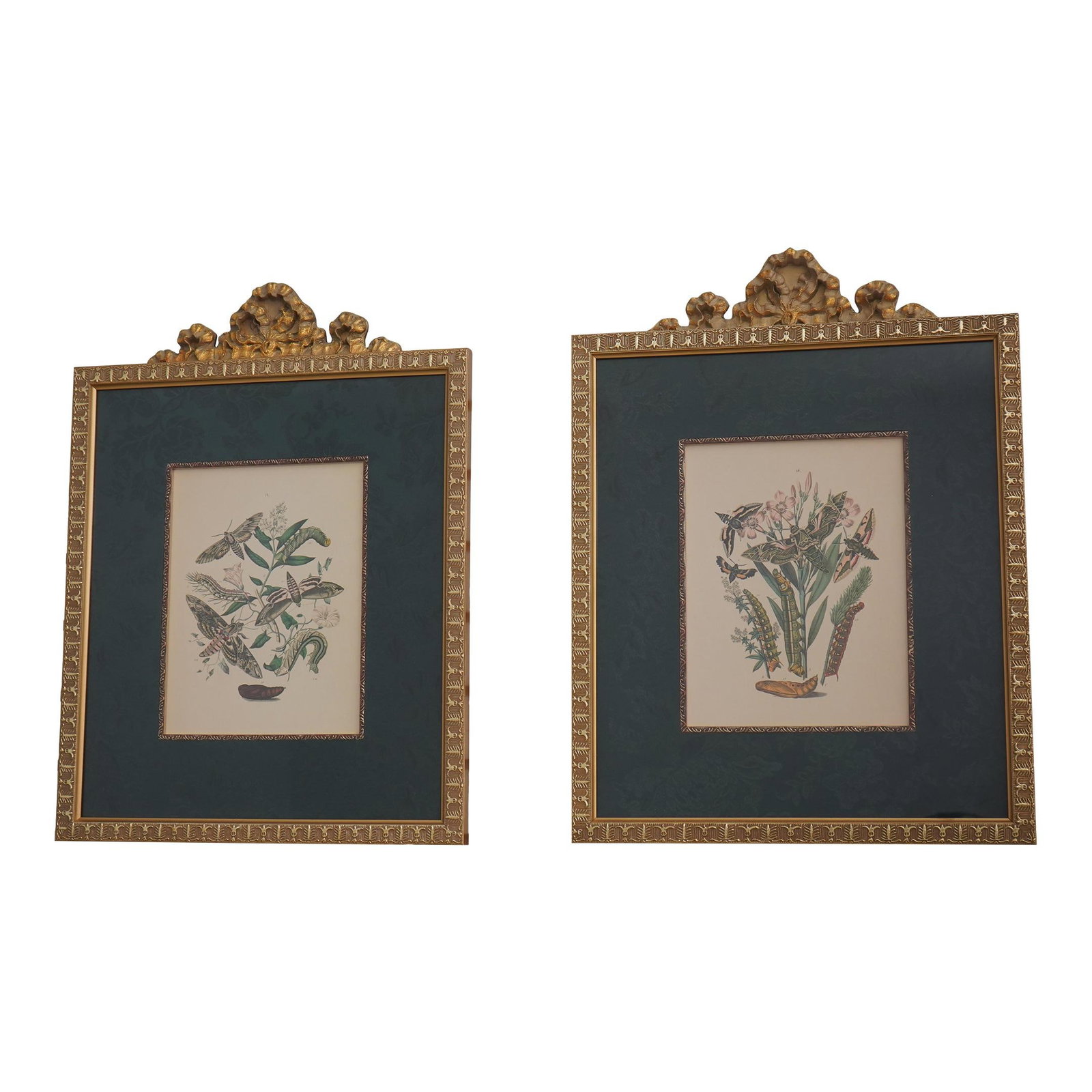 Antique Butterfly Engraving Prints Framed Gold Finish 150 Years Old (1 of 10)