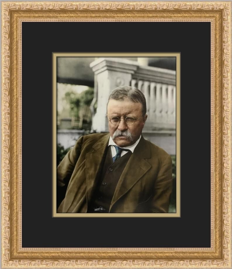 Color Reproduction Photo of Theodore Roosevelt at Sagamore Hill in Custom Frame: Color Reproduction Photo of Theodore Roosevelt at Sagamore Hill in Custom Frame This item is a quality reproduction colorized photograph of President Theodore Roosevelt, depicting his Sagamore Hill re