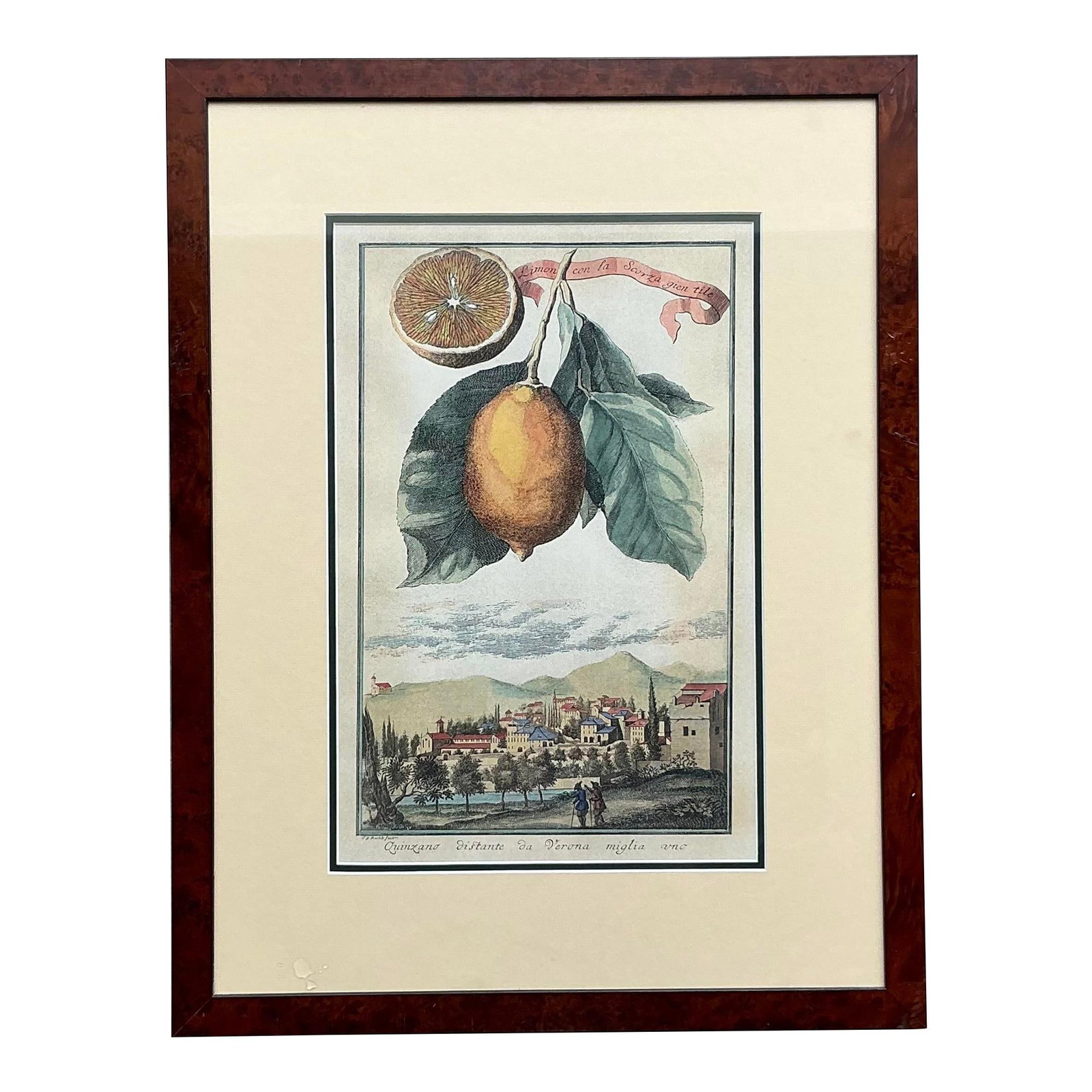 Vintage Coastal Lemon Engraving Artwork: Vintage Coastal Lemon Engraving Artwork Enhance your living space with the Vintage Coastal Lemon Engraving, a delightful artwork that showcases intricately detailed lemons. This piece embodies the bre