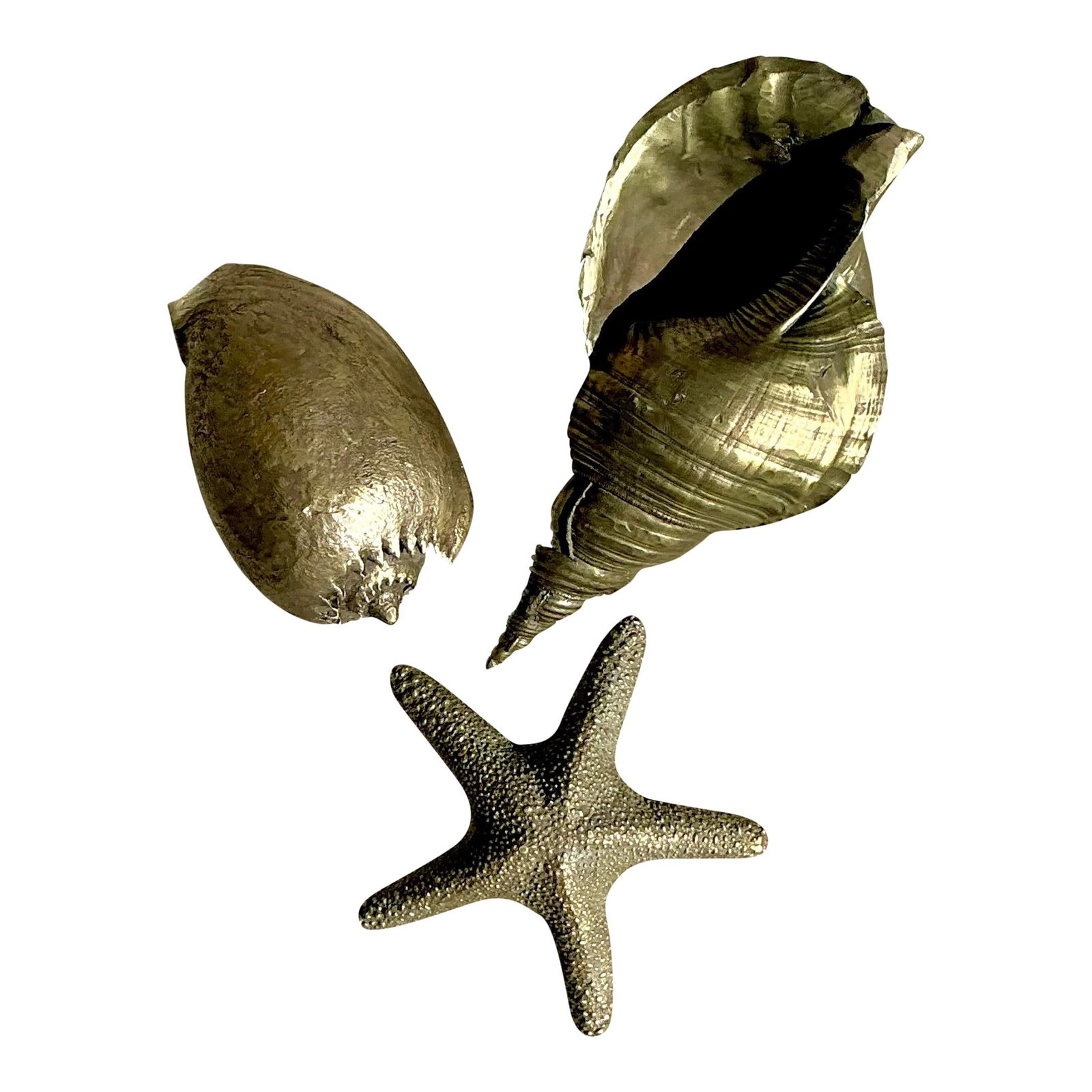 Vintage Coastal Brass Shells Decorative Set of 3: Vintage Coastal Brass Shells Decorative Set of 3 Enhance your home decor with this vintage coastal burnished brass shell set, featuring three exquisite pieces that embody the charm of the seaside. Eac