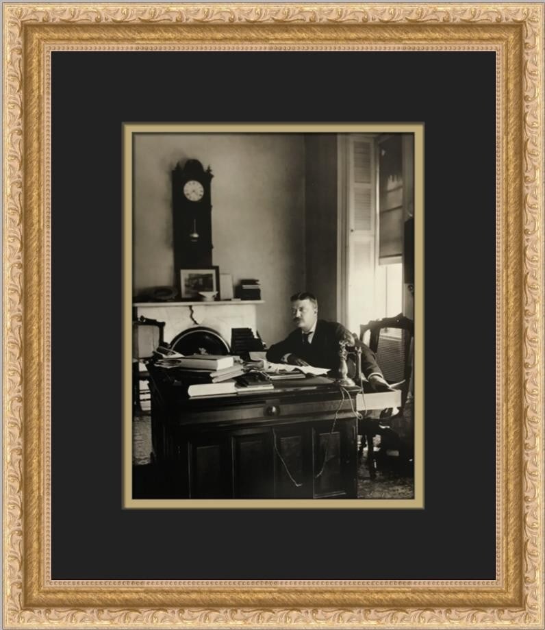 Theodore Roosevelt NYPD Commissioner B&W Photo Custom Framed 15 x 13 (1 of 2)