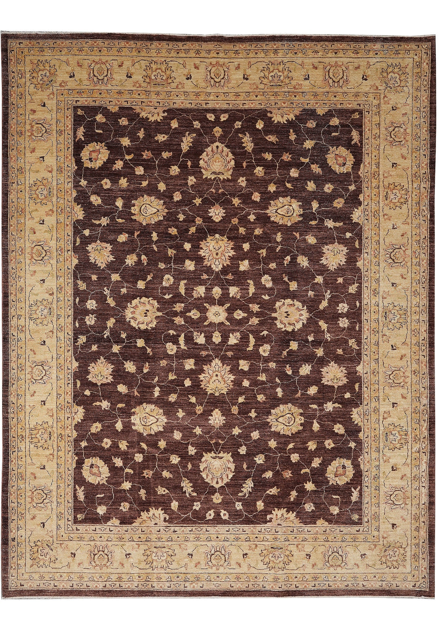 9.3 x 12 Hand-Knotted Wool Zigler Peshawar Chobi Rug: 9.3 x 12 Hand-Knotted Wool Zigler Peshawar Chobi Rug Free continental US Shipping This 9.3 x 12 Zigler Peshawar Chobi rug is hand-knotted from quality wool and handmade in Pakistan. It features a trad