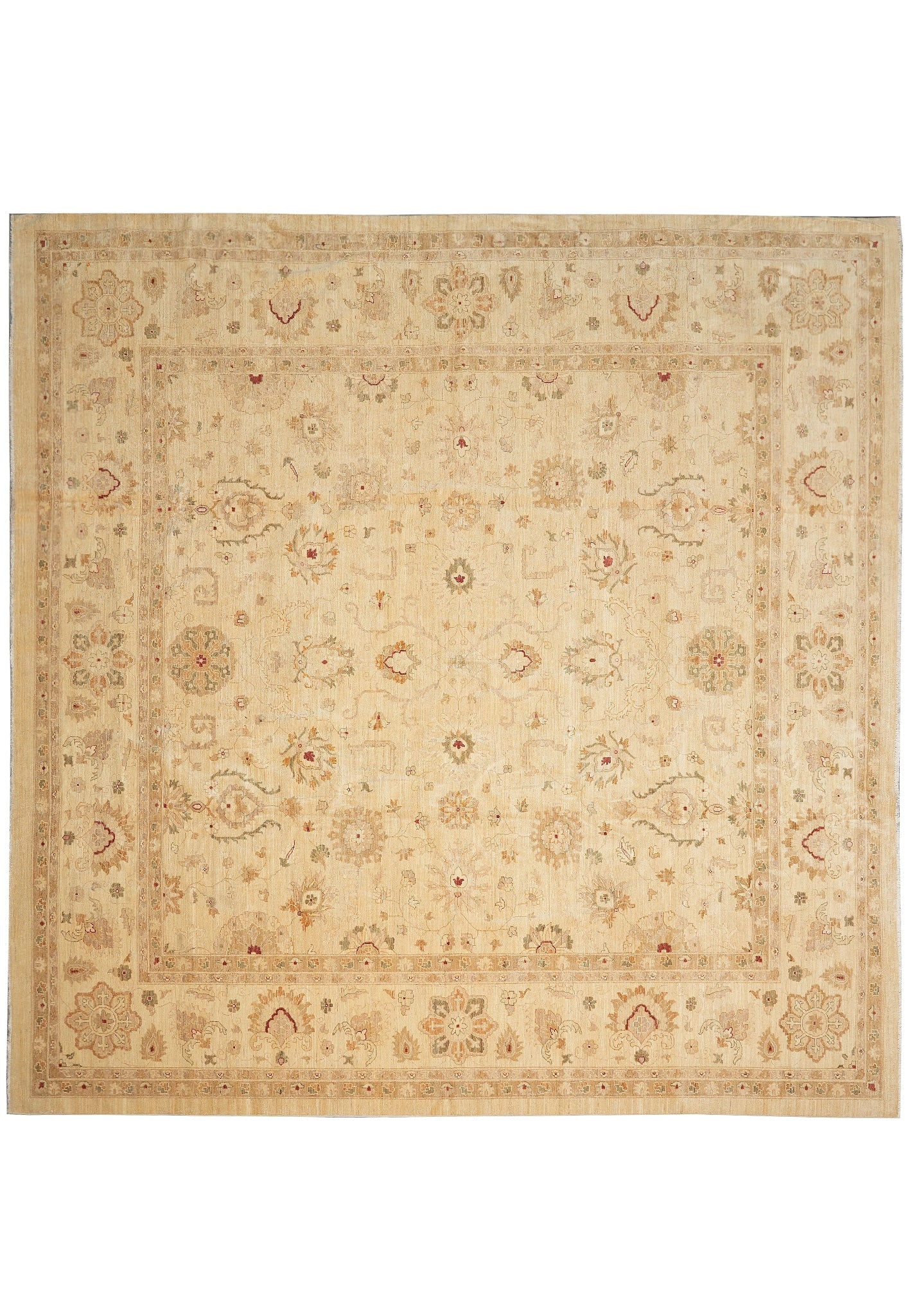 14 x 14 Square Hand-Knotted Natural Wool Agra Rug Beige Gold: 14 x 14 Square Hand-Knotted Natural Wool Agra Rug Beige Gold Free continental US Shipping This 14 x 14 square area rug features a hand-knotted construction in natural wool with an Agra design in beige