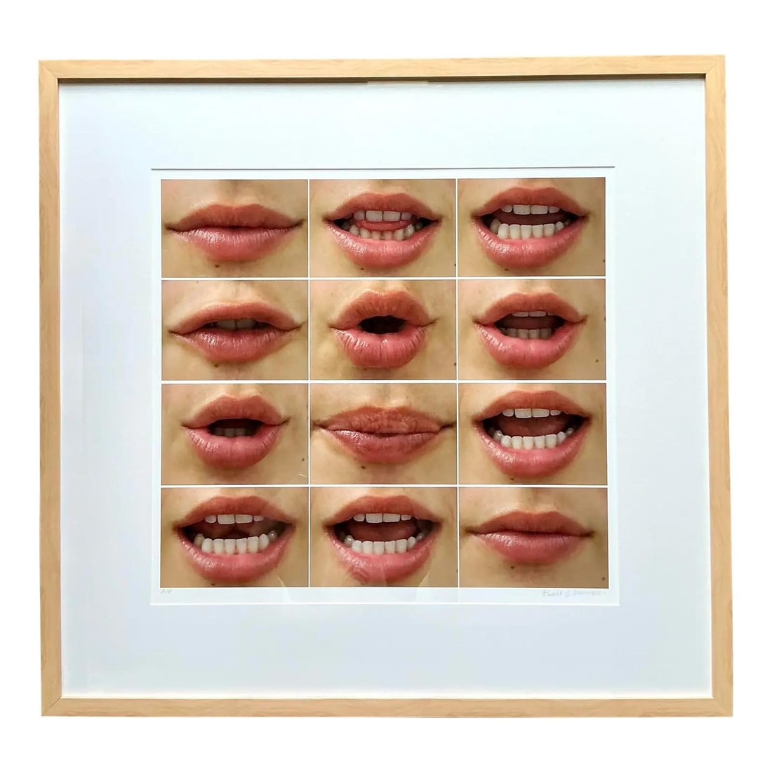 Pair of Large Framed Conceptual Lip Grid Photographs on Rag Bright Paper: Pair of Large Framed Conceptual Lip Grid Photographs on Rag Bright Paper This pair of large framed photographs features a conceptual artwork with a grid montage of lips, arranged to convey the phrase 