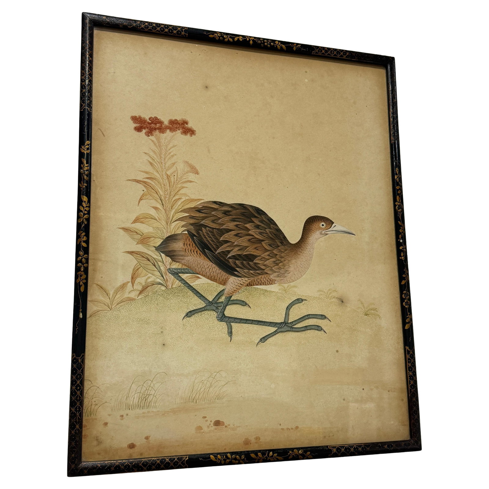 Chinese Export School Marsh Bird Watercolor Early 19th Century Framed Artwork (1 of 10)