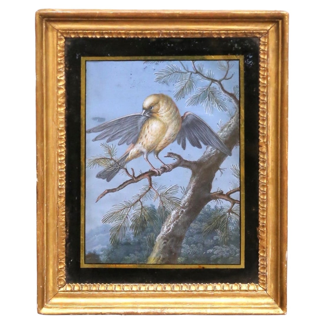 French Reverse Glass Bird Painting in Giltwood Frame: French Reverse Glass Bird Painting in Giltwood Frame This mid-19th century French fixe sous verre painting features a delicately hand-painted songbird perched among pine branches, executed in the reve