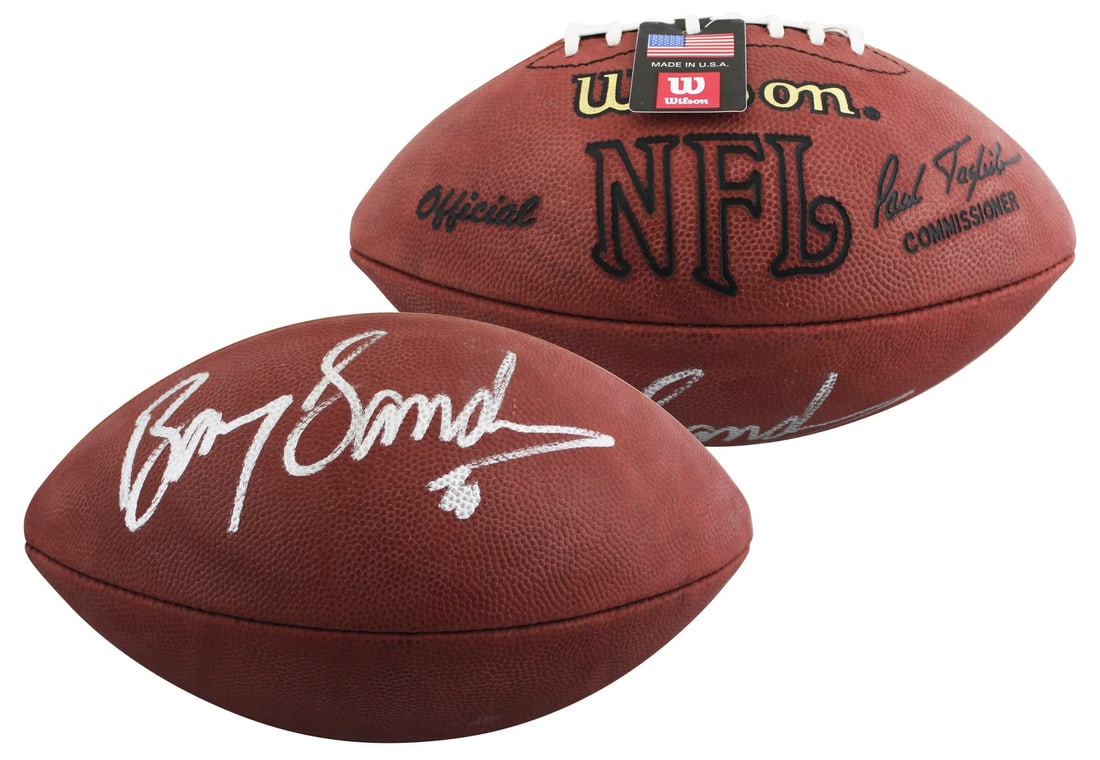 Barry Sanders Signed Wilson NFL Football Beckett Authenticated Detroit Lions: Barry Sanders Signed Wilson NFL Football Beckett Authenticated Detroit Lions This Wilson Official NFL football has been personally signed by Barry Sanders of the Detroit Lions. The football is authent