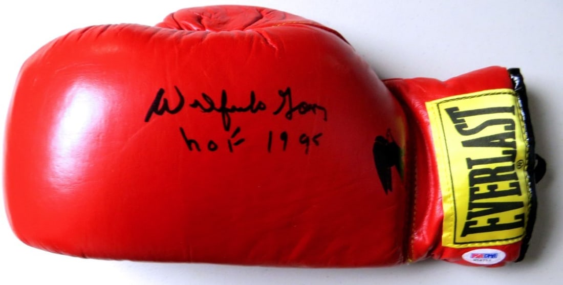 Wilfredo Gomez Everlast Boxing Glove PSA DNA HOF 1995: Wilfredo Gomez Everlast Boxing Glove PSA DNA HOF 1995 This is an Everlast boxing glove autographed by Wilfredo Gomez, featuring the inscription "HOF 1995." The glove is authenticated by Professional S
