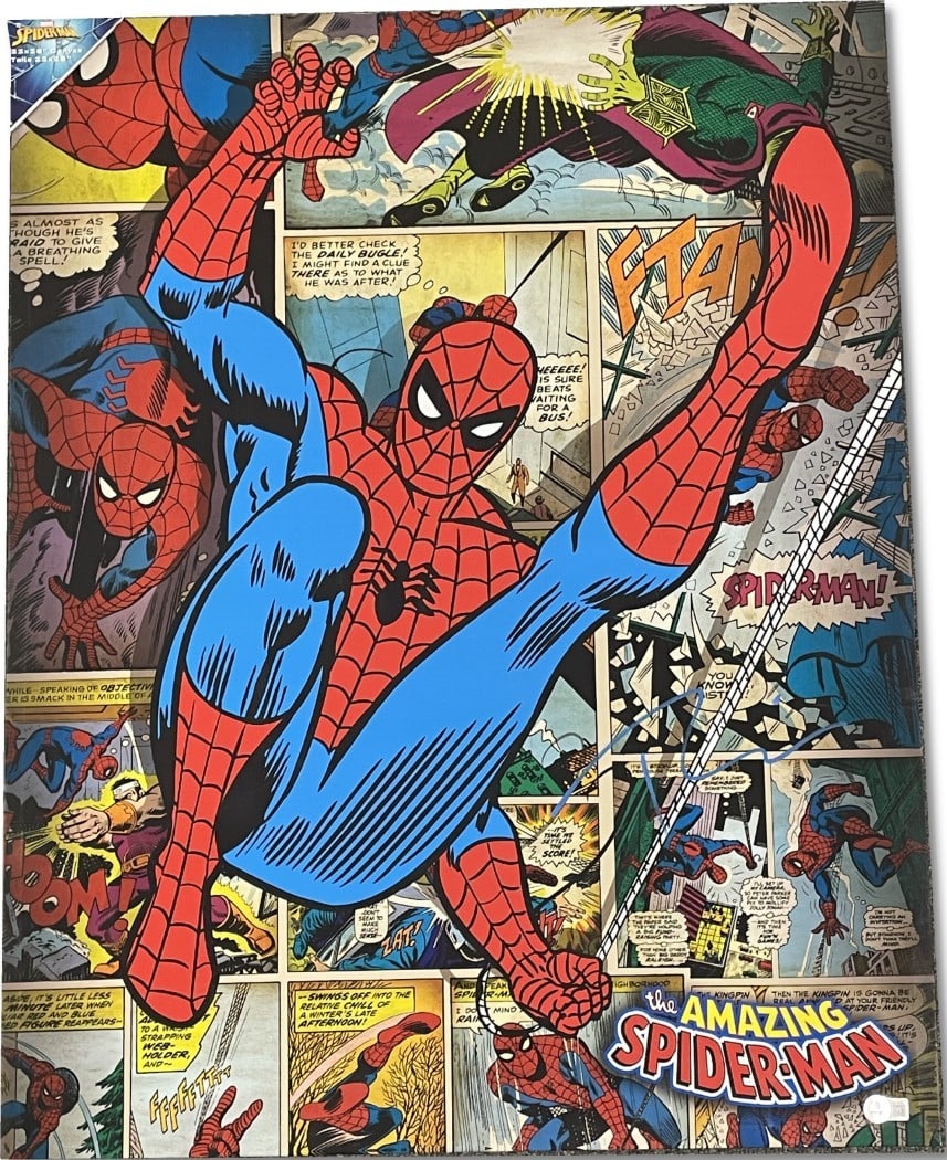Tobey Maguire Signed Canvas The Amazing Spider-Man 22x26 Beckett Authenticated: Tobey Maguire Signed Canvas The Amazing Spider-Man 22x26 Beckett Authenticated This stunning canvas features the iconic character Spider-Man, signed by Tobey Maguire, the beloved actor known for his p