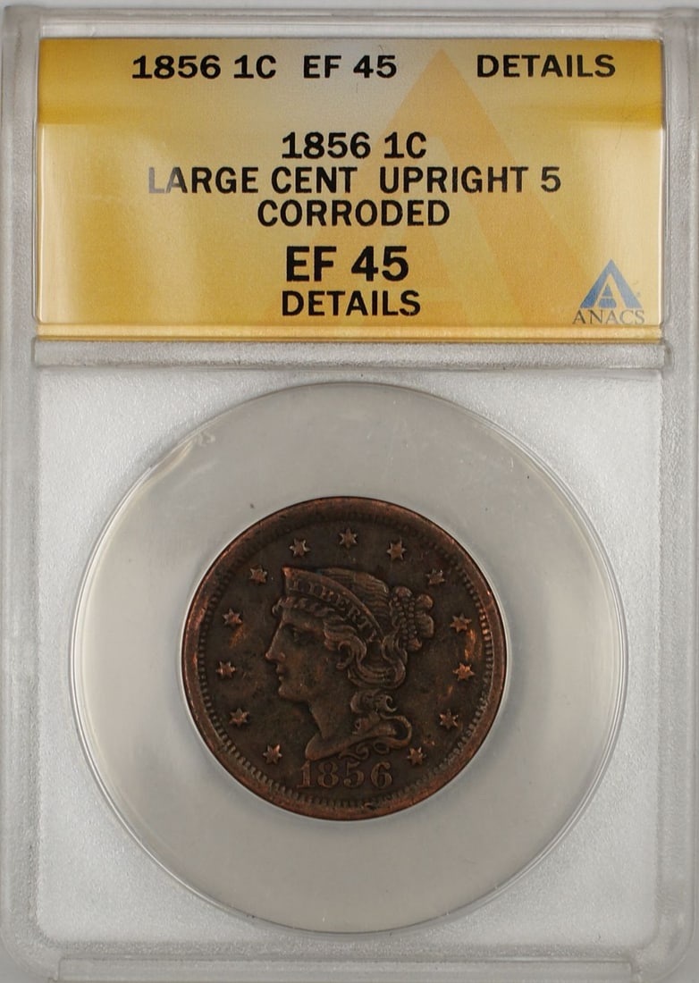 ANACS EF 45 Details 1856 Braided Hair Large Cent 1C Upright 5: ANACS EF 45 Details 1856 Braided Hair Large Cent 1C Upright 5 1856 Braided Hair Large Cent 1C coin certified by ANACS and graded EF 45 Details. This circulated copper large cent is identified as the U