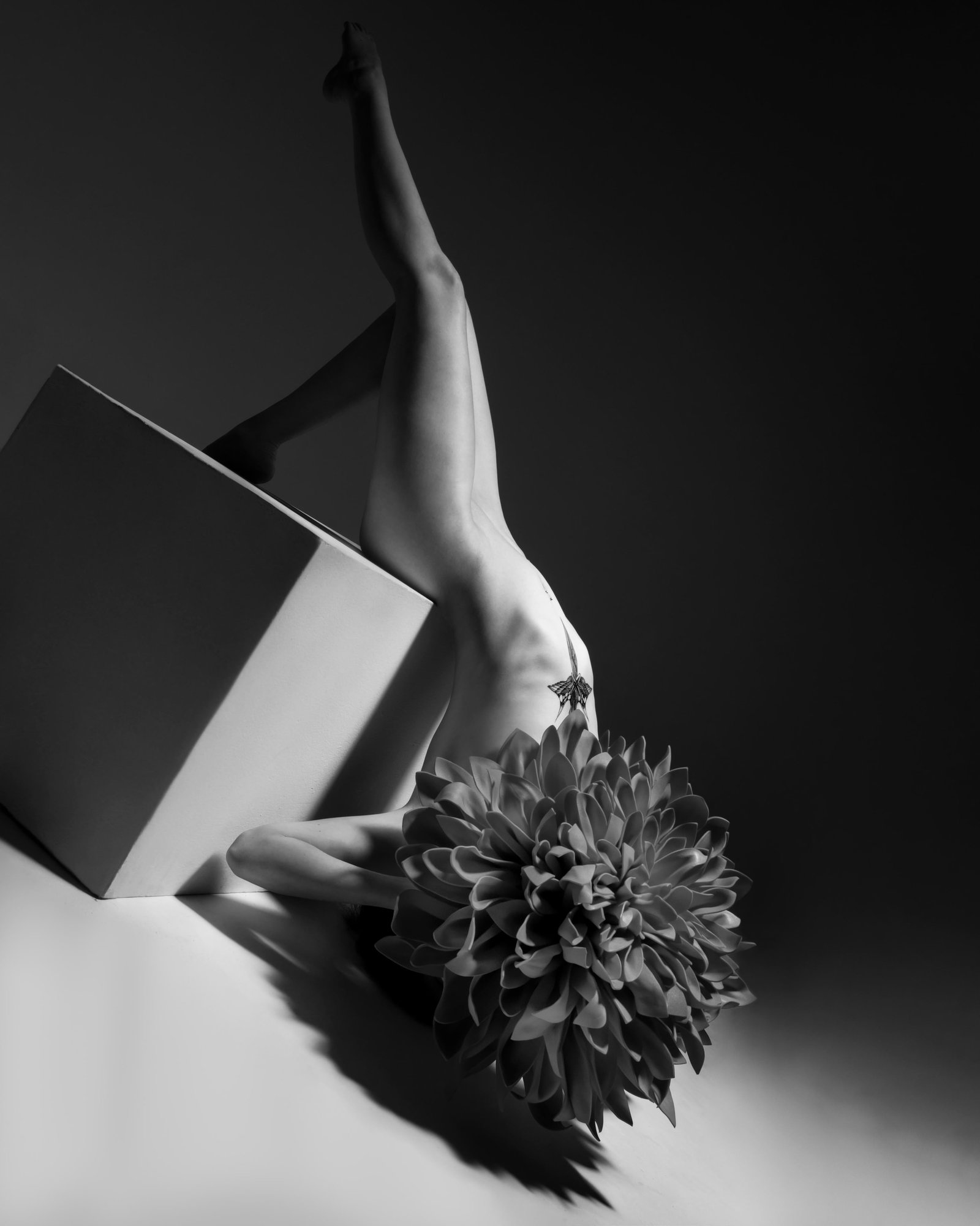Aaron McPolin Seraphim II archival pigment nude photograph 24 x 16 Ed. 1/15: Aaron McPolin Seraphim II archival pigment nude photograph 24 x 16 Ed. 1/15 "Seraphim II" is a contemporary nude photograph by Aaron McPolin, created in 2023. This archival giclee print is signed and 
