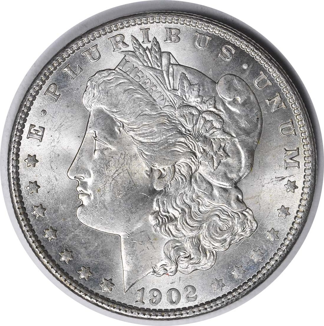 Uncirculated 1902-O Morgan Dollar Silver VAM 25 Doubled Ear Variety: Uncirculated 1902-O Morgan Dollar Silver VAM 25 Doubled Ear Variety This 1902-O Morgan Silver Dollar is a VAM 25 variety featuring a doubled ear. The coin is in Brilliant Uncirculated (BU) condition a