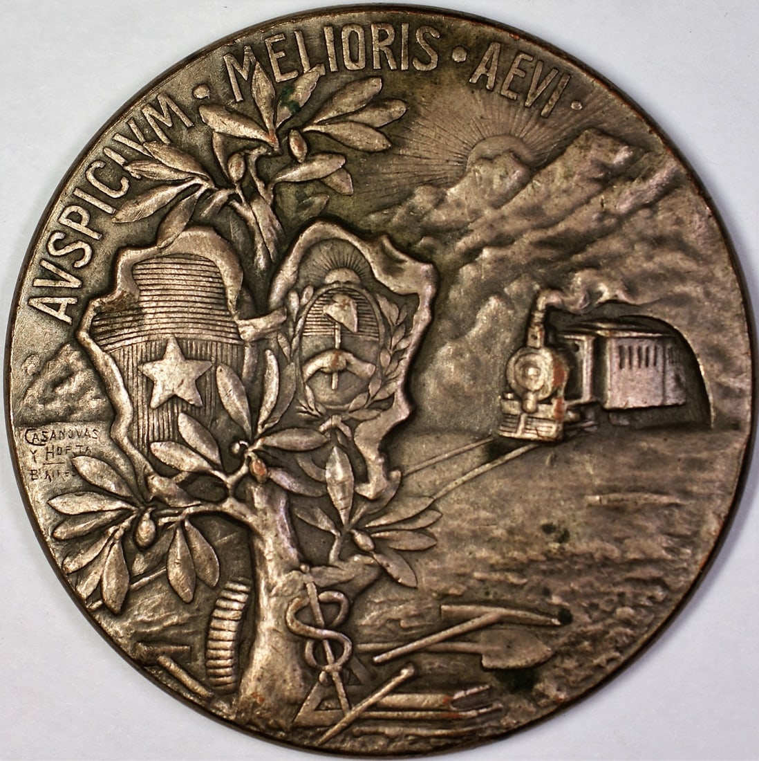 1903 Argentina Silver Commemorative Medal Honoring Chilean Government Delegates (1 of 2)