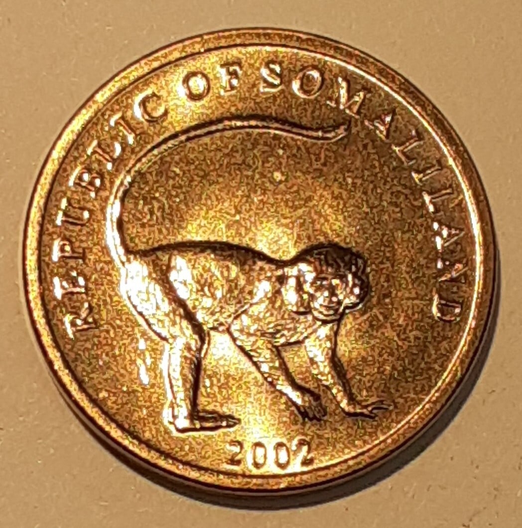 Roll of 40 2002 Somaliland Brass 10 Shillings KM3 Vervet Monkey Coins BU: Roll of 40 2002 Somaliland Brass 10 Shillings KM3 Vervet Monkey Coins BU This is a roll of forty uncirculated 2002 Somaliland 10 Shillings brass coins. Each coin features a Vervet Monkey on the obvers